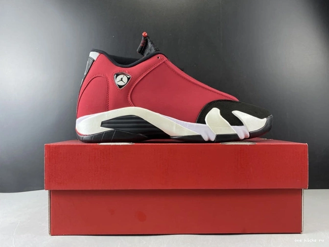 Chep Onekick TORO GYM RETRO RED AIR JORDAN 487471-006 14 0713